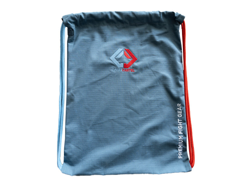 Red vs Blue Gi