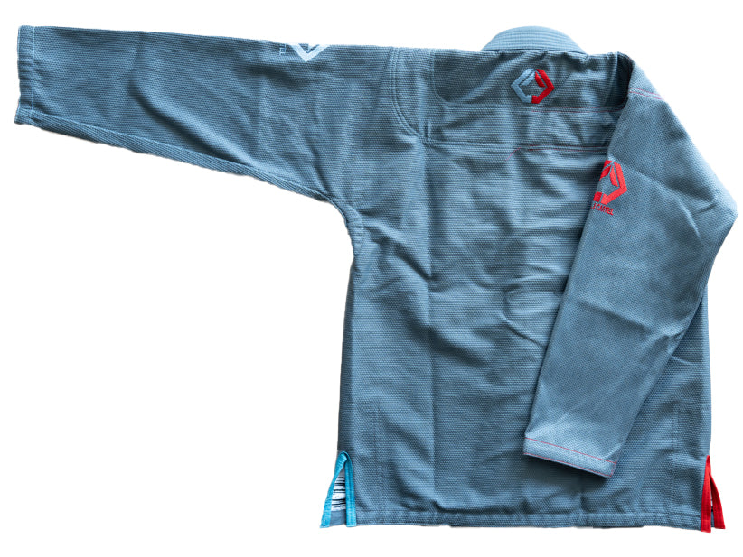 Red vs Blue Gi